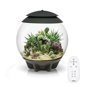 OASE BIORB AIR Terrarium