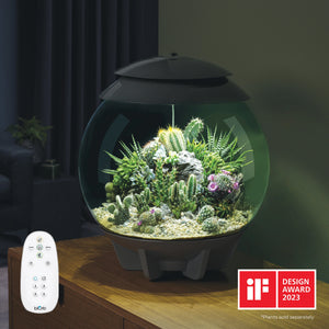 OASE BIORB AIR Terrarium