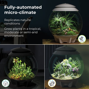 OASE BIORB AIR Terrarium