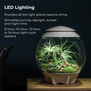 OASE BIORB AIR Terrarium