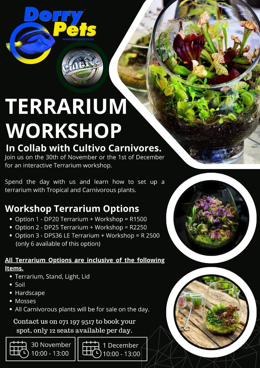 Terrarium Workshop