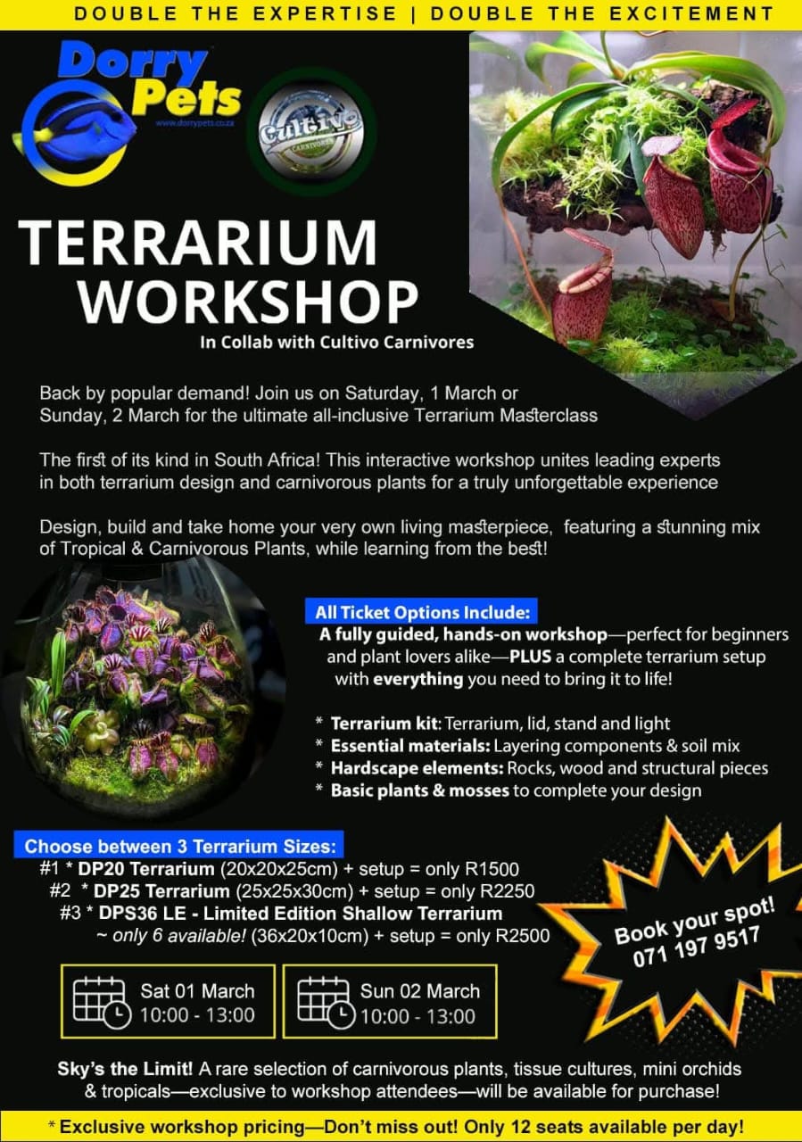 Terarium Workshop